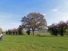 Wanderung1003
